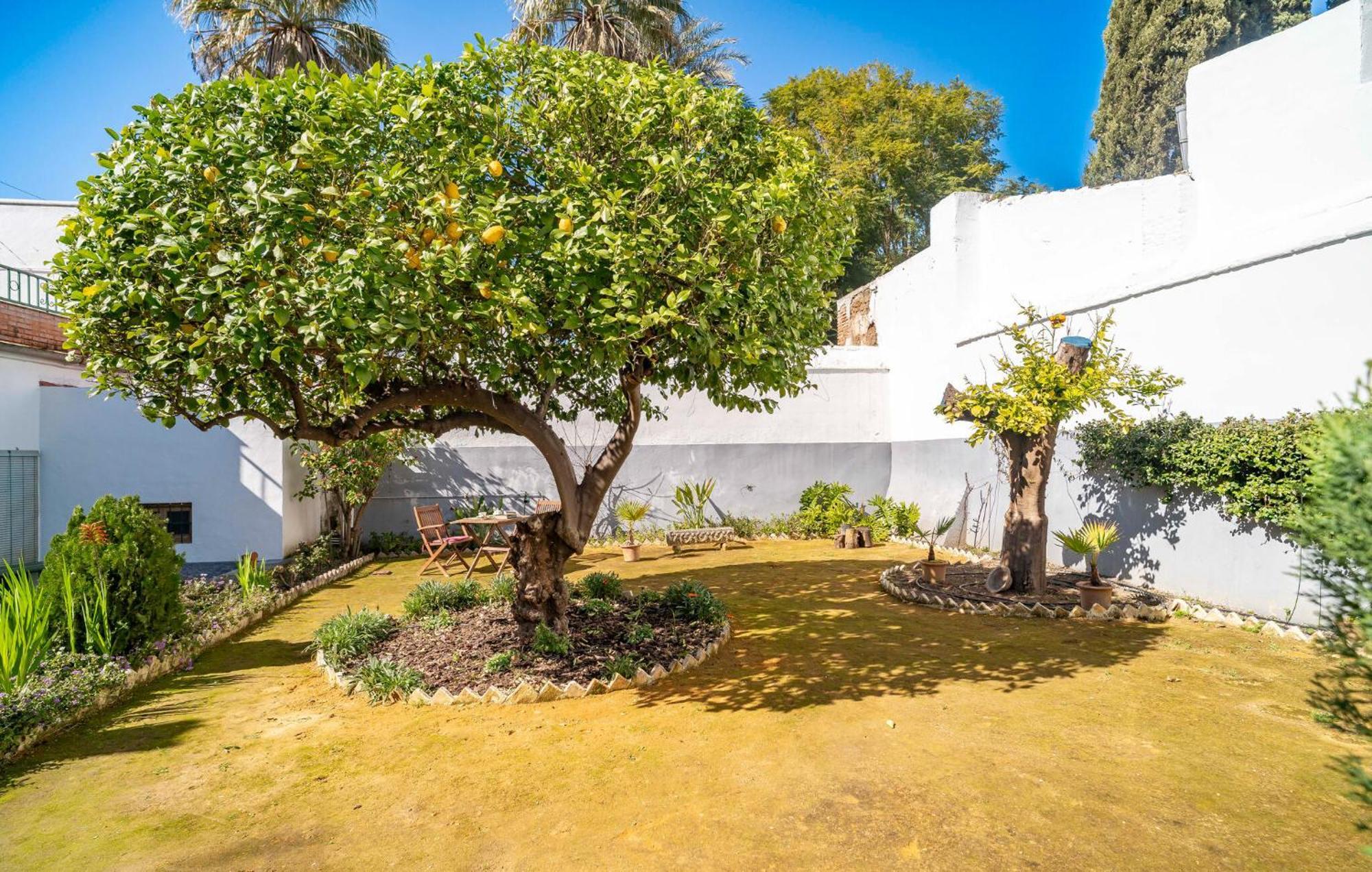 Appartamento La Casa Del Limonero Peñaflor Esterno foto